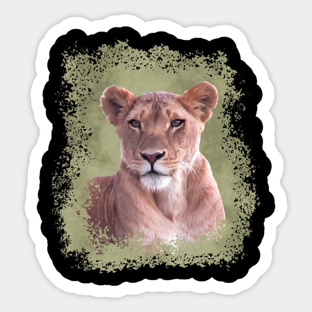 Lioness - Lion - Africa Sticker by T-SHIRTS UND MEHR